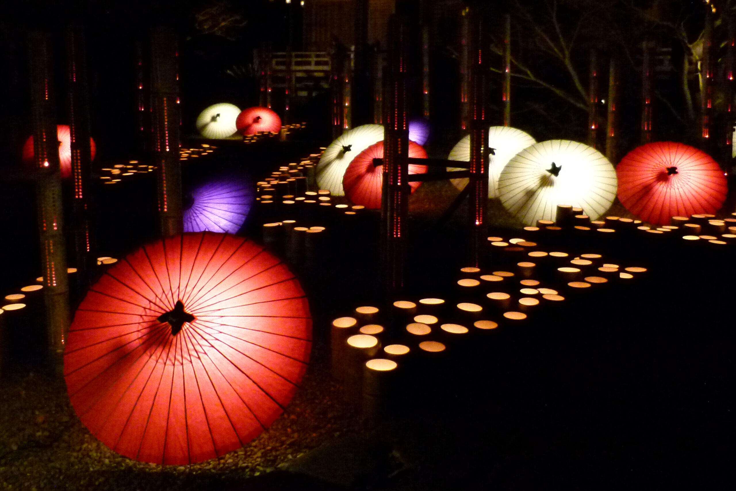 Yamaga Garden Lantern Festival